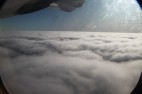 IMG_5595 IMG_5595