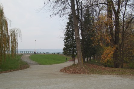 IMG_7231 IMG_7231