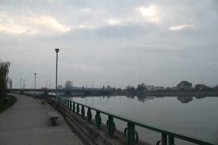 IMG_7248 IMG_7248