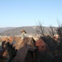 IMG 7731 125x125 Sighisoara   cetate