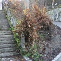 IMG 7739 125x125 Sighisoara   cetate