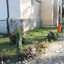 IMG 7766 125x125 Sighisoara   cetate
