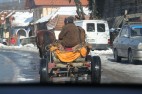 IMG_3498 IMG_3498