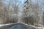 IMG_3538