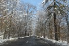 IMG_3540 IMG_3540