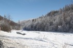 IMG_3541 IMG_3541
