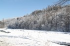 IMG_3544