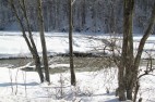 IMG_3545