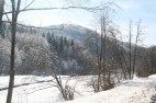 IMG_3548 IMG_3548