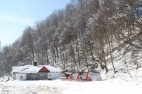 IMG_3550 IMG_3550