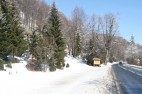 IMG_3551 IMG_3551