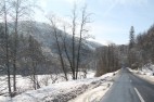 IMG_3566 IMG_3566