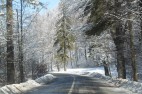 IMG_3576