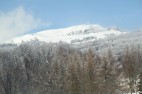 IMG_3591