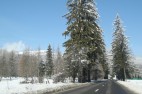 IMG_3597 IMG_3597