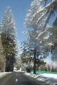 IMG_3602 IMG_3602