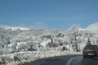 IMG_3605 IMG_3605