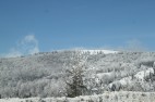 IMG_3607 IMG_3607