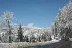 IMG_3610 IMG_3610