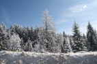 IMG_3619