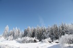 IMG_3627