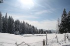 IMG_3635 IMG_3635