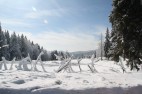IMG_3644 IMG_3644