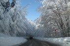 IMG_3662