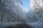 IMG_3671 IMG_3671