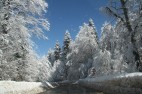 IMG_3676