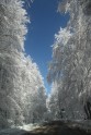 IMG_3704