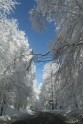 IMG_3709 IMG_3709