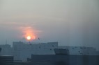 IMG_3730 IMG_3730