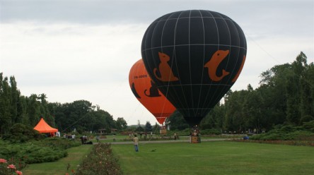 balon orange bucuresti-3